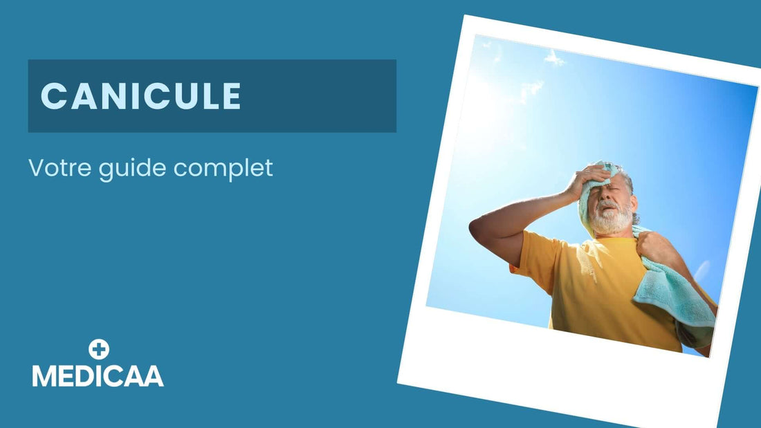 Canicule : Votre guide complet !