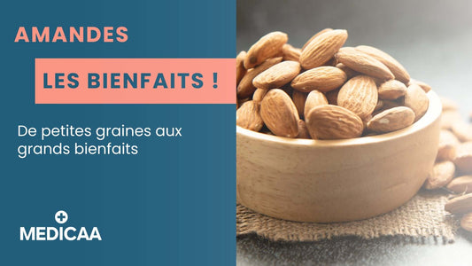 Les Amandes : De Petites Graines Aux Grands Bienfaits