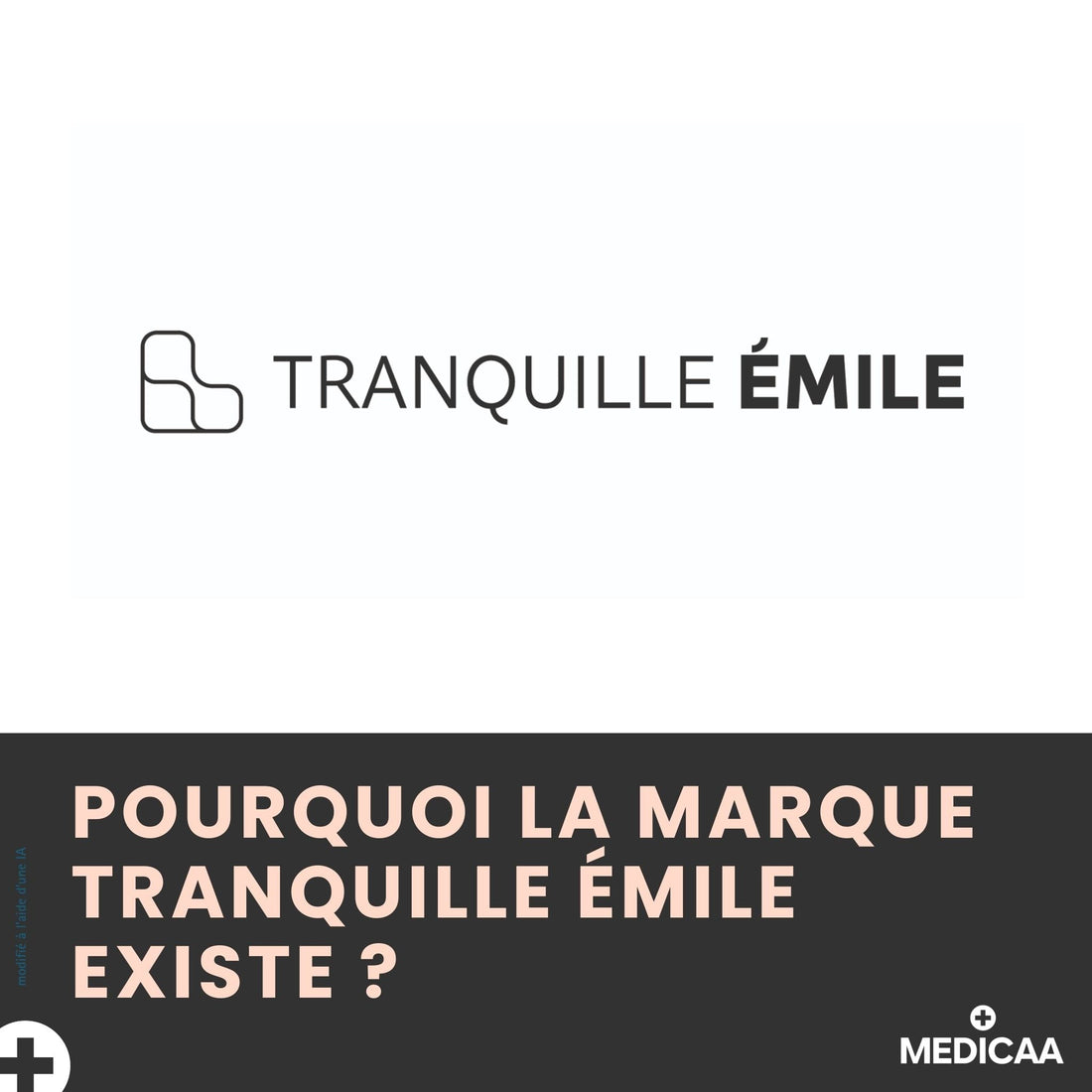 Pourquoi la marque Tranquille Émile existe