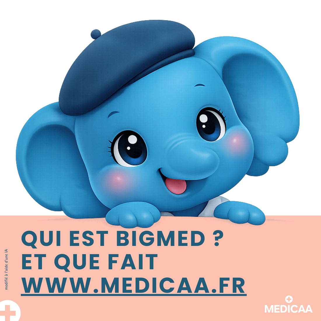 Qui est Bigmed et que fait www.medicaa.fr
