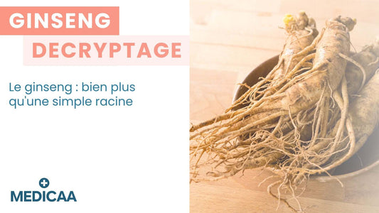 Le ginseng : bien plus qu'une simple racine