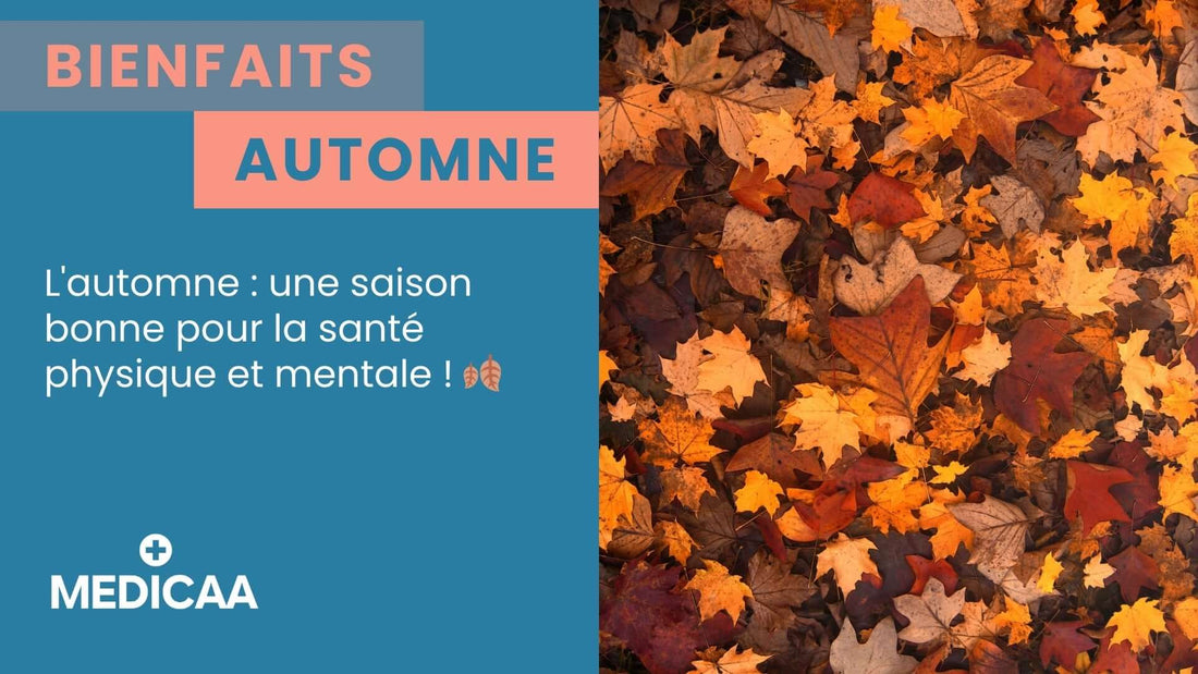 L'automne : une saison qui ressource le corps et l'esprit 🍂