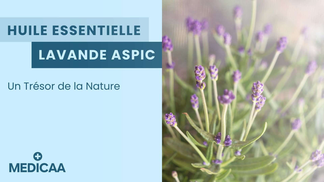 L'Huile Essentielle de Lavande Aspic : Un Trésor de la Nature